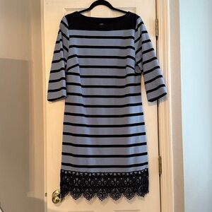 New York & Company Navy Stretch Fabric